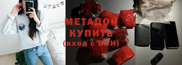 прущие грибы Алзамай