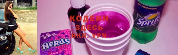 прущие грибы Алзамай