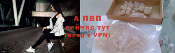 ГАЛЛЮЦИНОГЕННЫЕ ГРИБЫ Пролетарск