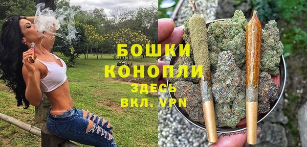ГАЛЛЮЦИНОГЕННЫЕ ГРИБЫ Пролетарск
