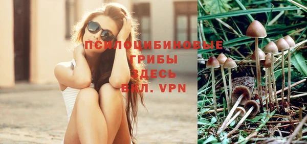 прущие грибы Алзамай