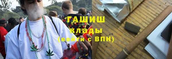 прущие грибы Алзамай