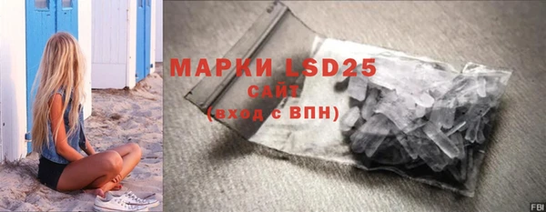 прущие грибы Алзамай