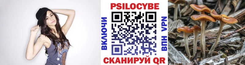 Псилоцибиновые грибы GOLDEN TEACHER  Тайшет 