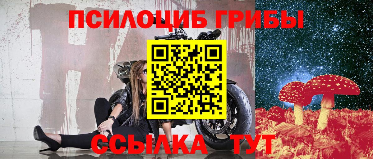 Псилоцибиновые грибы мицелий  Псилоцибиновые грибы Cubensis  Вход с VPN  Тайшет 