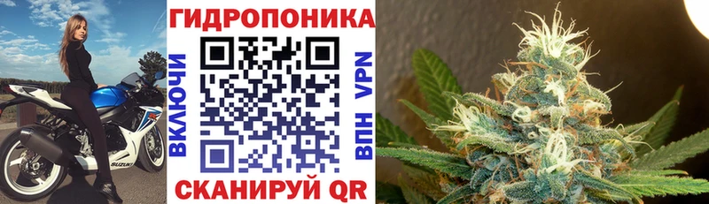 Шишки марихуана семена Тайшет